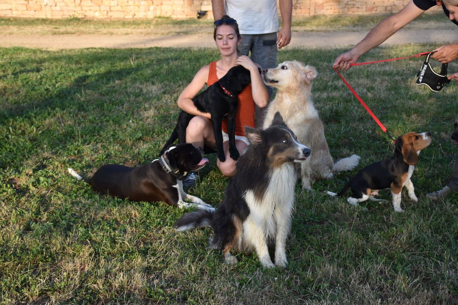 éducation et dressage de chiens Savoie